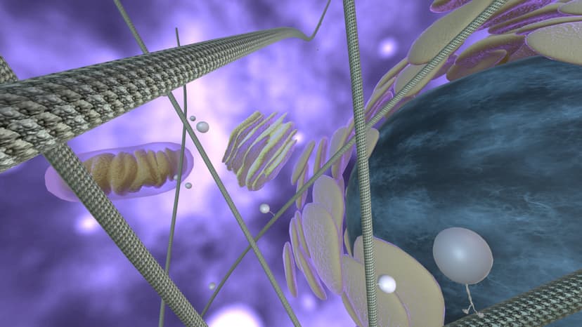 1st Maker Space Professional Development screenshot 3