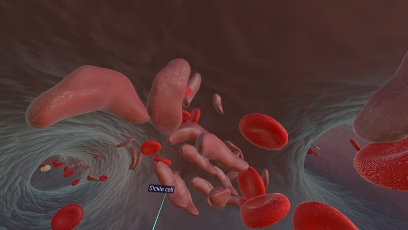 10k Science screenshot 4