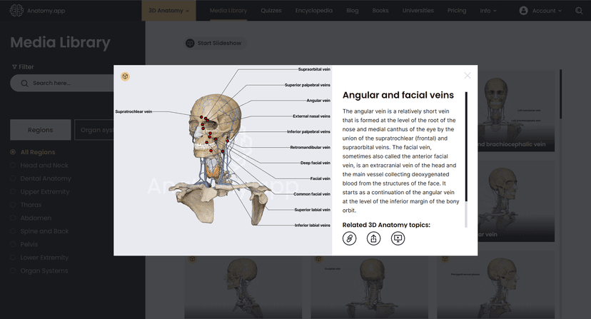 Anatomy.app screenshot 1