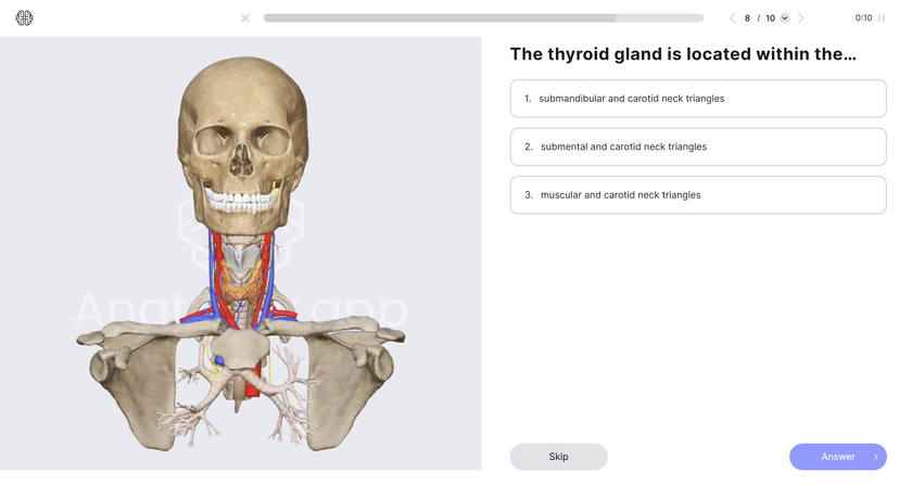 Andraly Stories screenshot 3