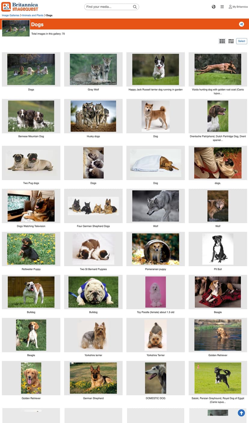 Britannica ImageQuest Jr. screenshot 2