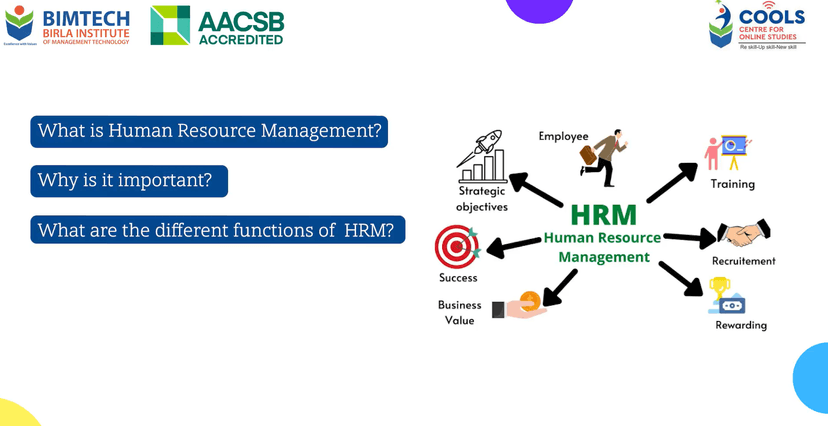 Edusio Video Editing  screenshot 2