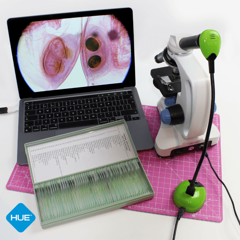 Hummingbird Robotics Kit screenshot 1