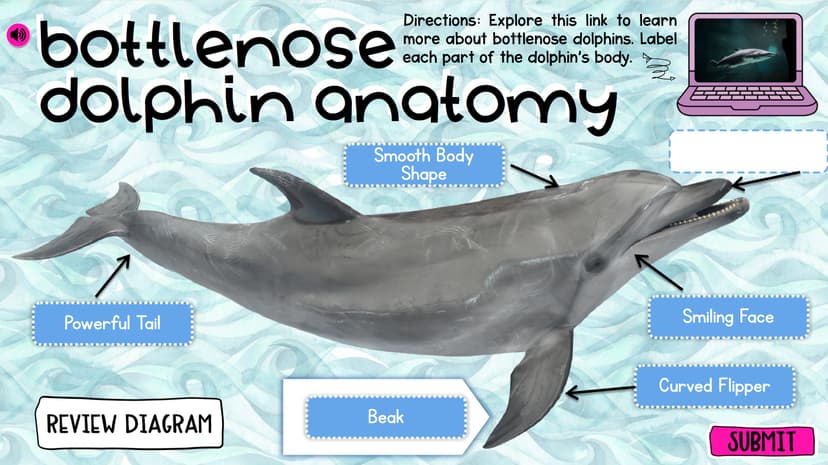 MagiCore Academy screenshot 2