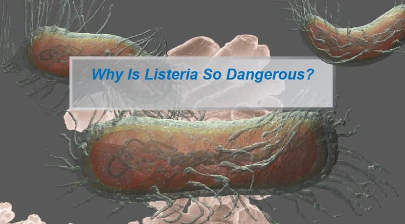 MEandMine screenshot 1