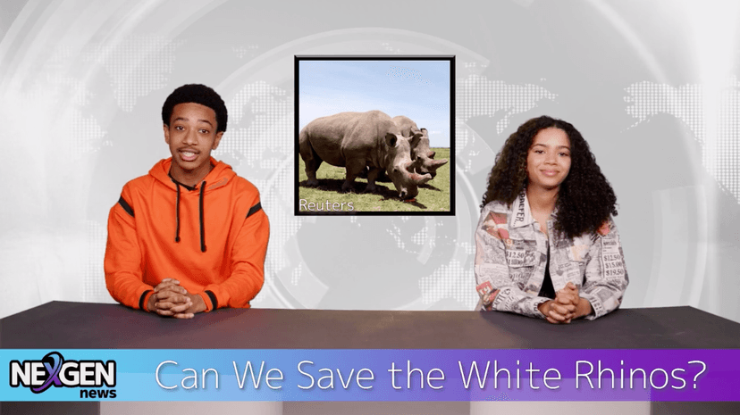 NextWave STEM: Cybersecurity screenshot 2