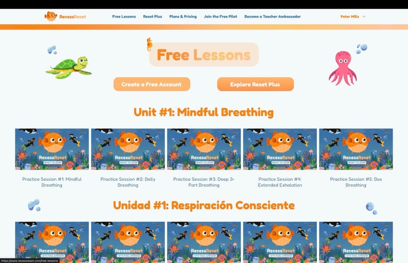 Recess Reset screenshot 2