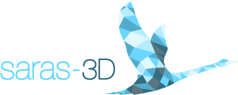 Saga Curriculum screenshot 1