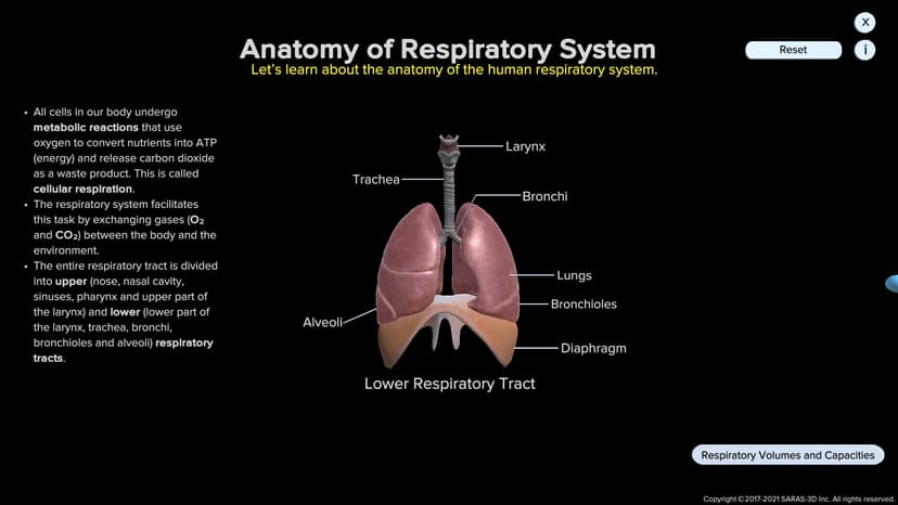 Sakai LMS screenshot 1