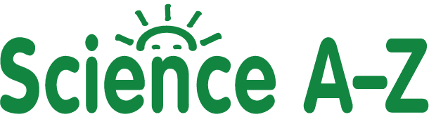 Schoolytics Student Data Platform screenshot 4