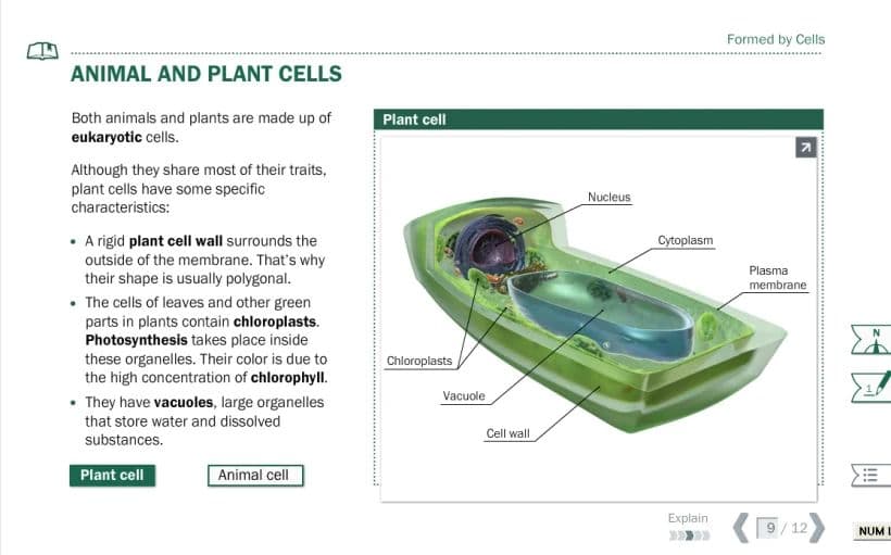 Science Bits screenshot 1