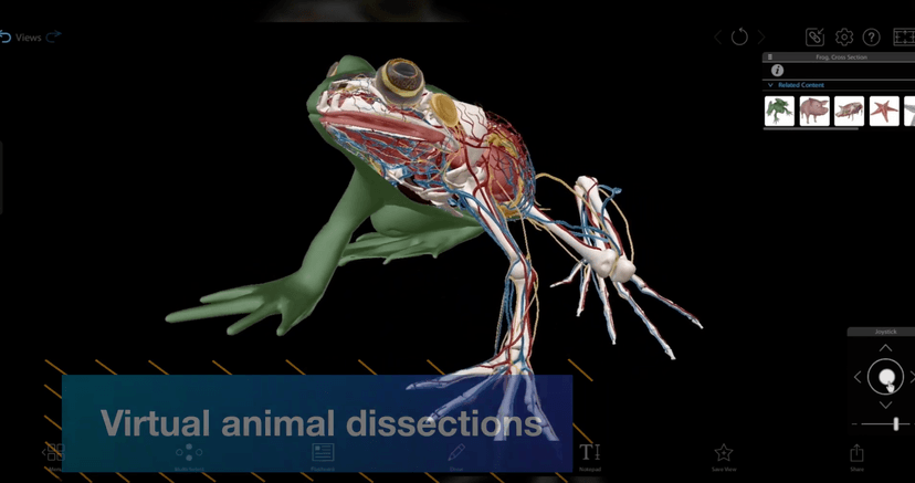 Visual Studio Code for Education screenshot 4