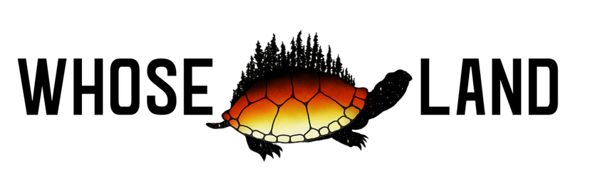 WirisQuizzes screenshot 1